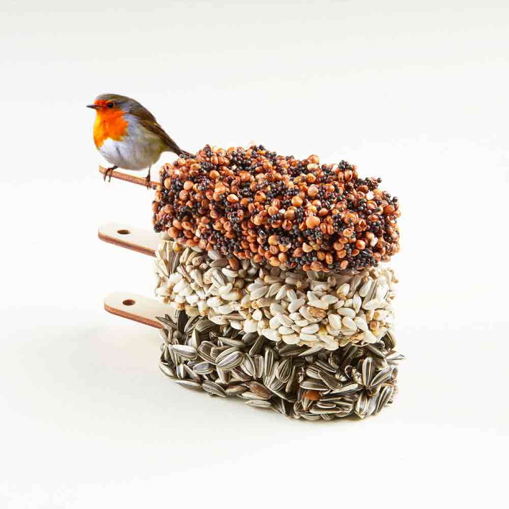 Ferme de l'orme creux, graines pour oiseaux du jardin, agriculture de  conservation des sols