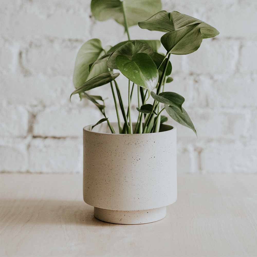 Pot pour plante en porcelaine URBAN – coloris SHADOW GREY – LAPADD