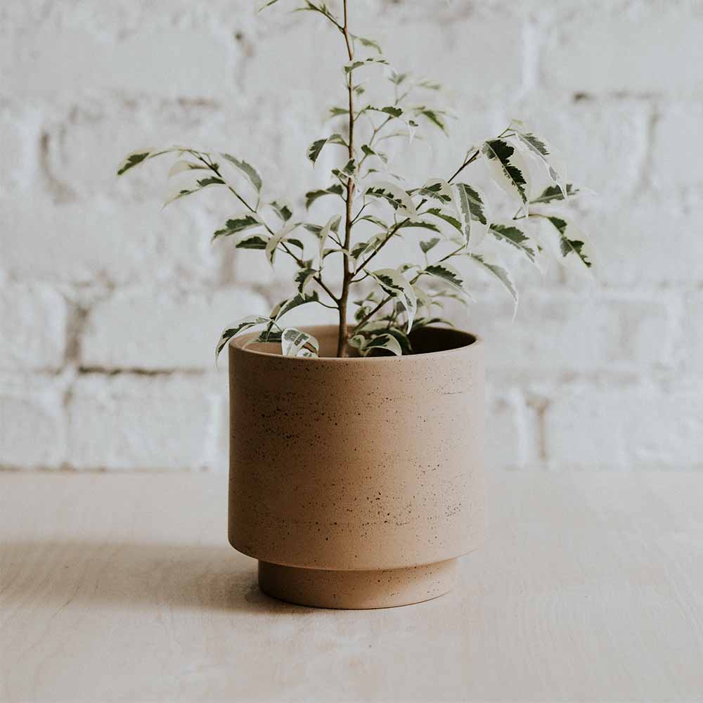 Pot pour plante en porcelaine URBAN – coloris SHADOW GREY – LAPADD